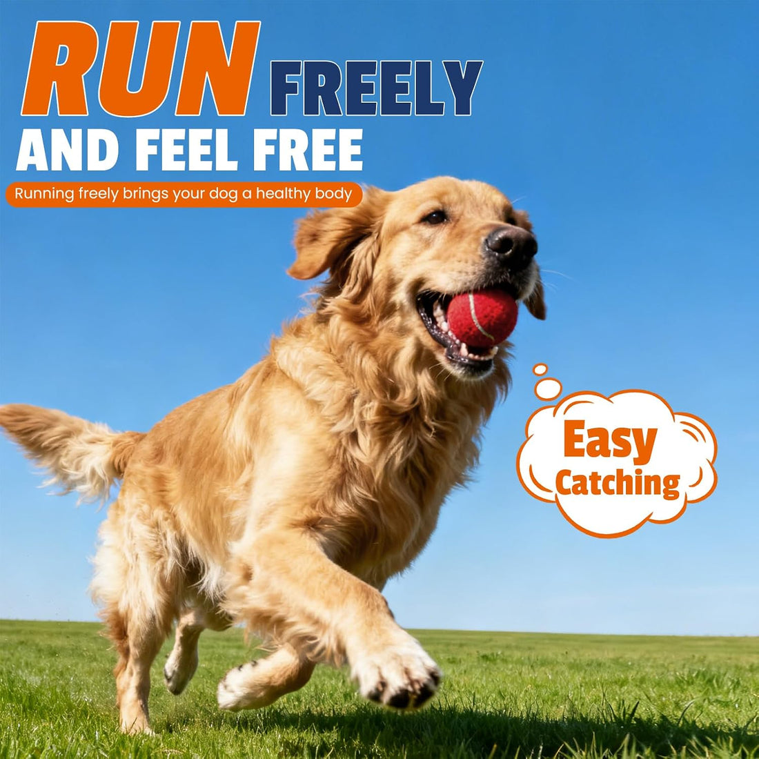 FURWEY Tennis Balls for Dogs 16 Pack,2.5 inches,Durable and Non-Toxic