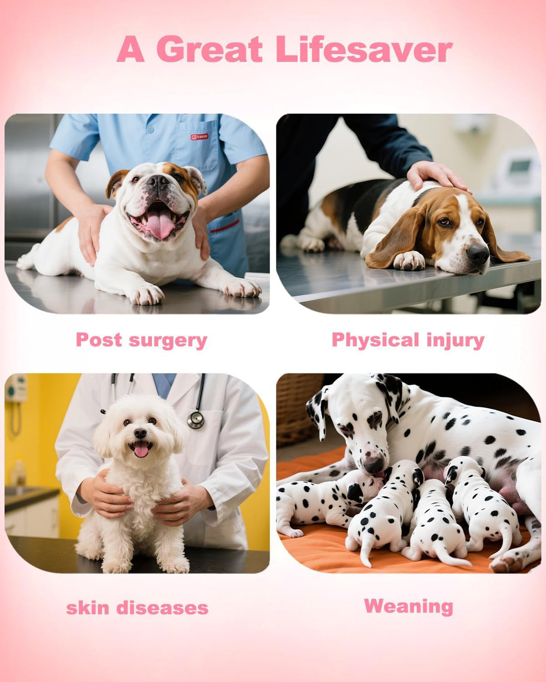 CuteBone Dinosaur Pet Surgery Recovery Suit for Small Medium Dogs Cats