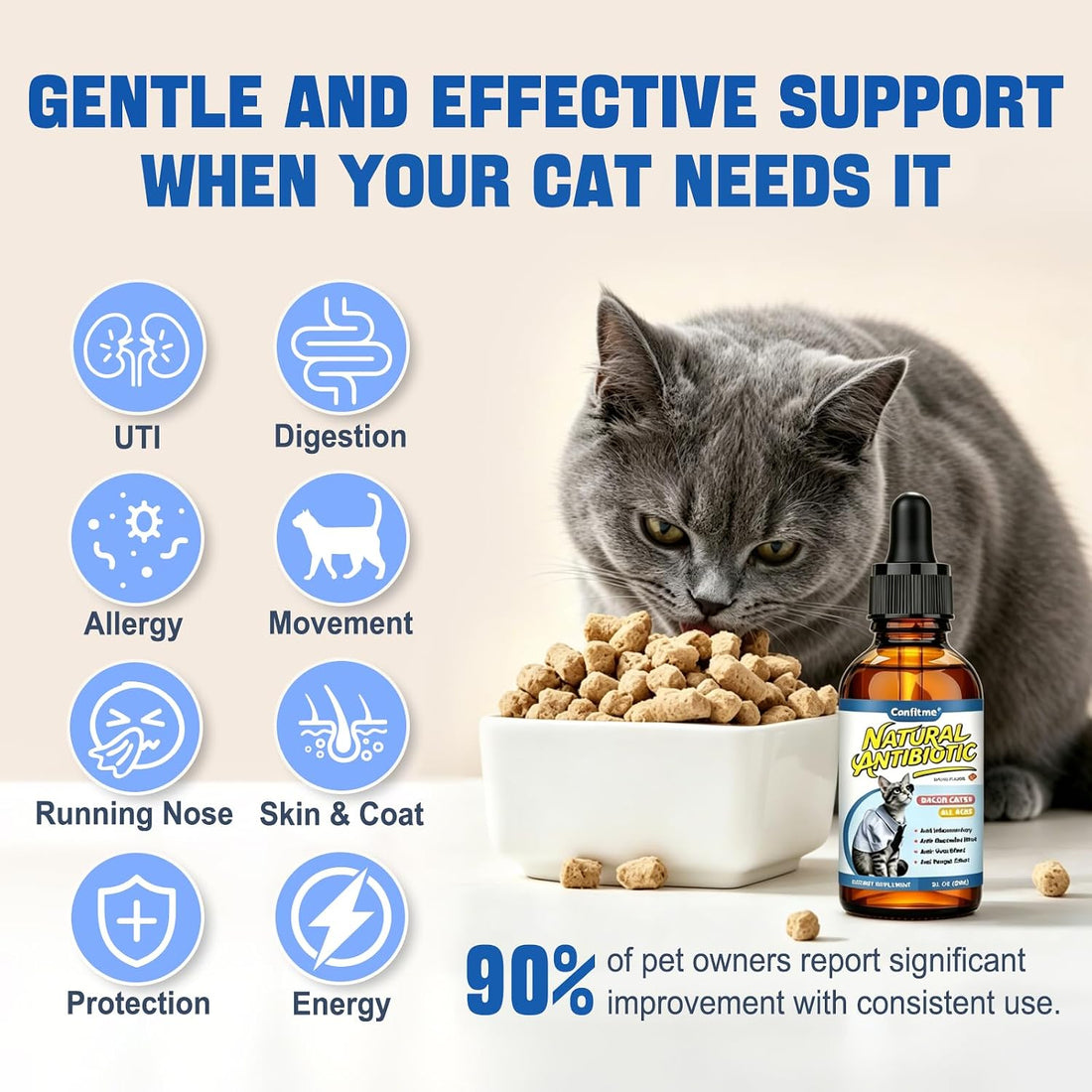 Cat Antibiotic for Infections, UTIs, Respiratory Moments, Cold