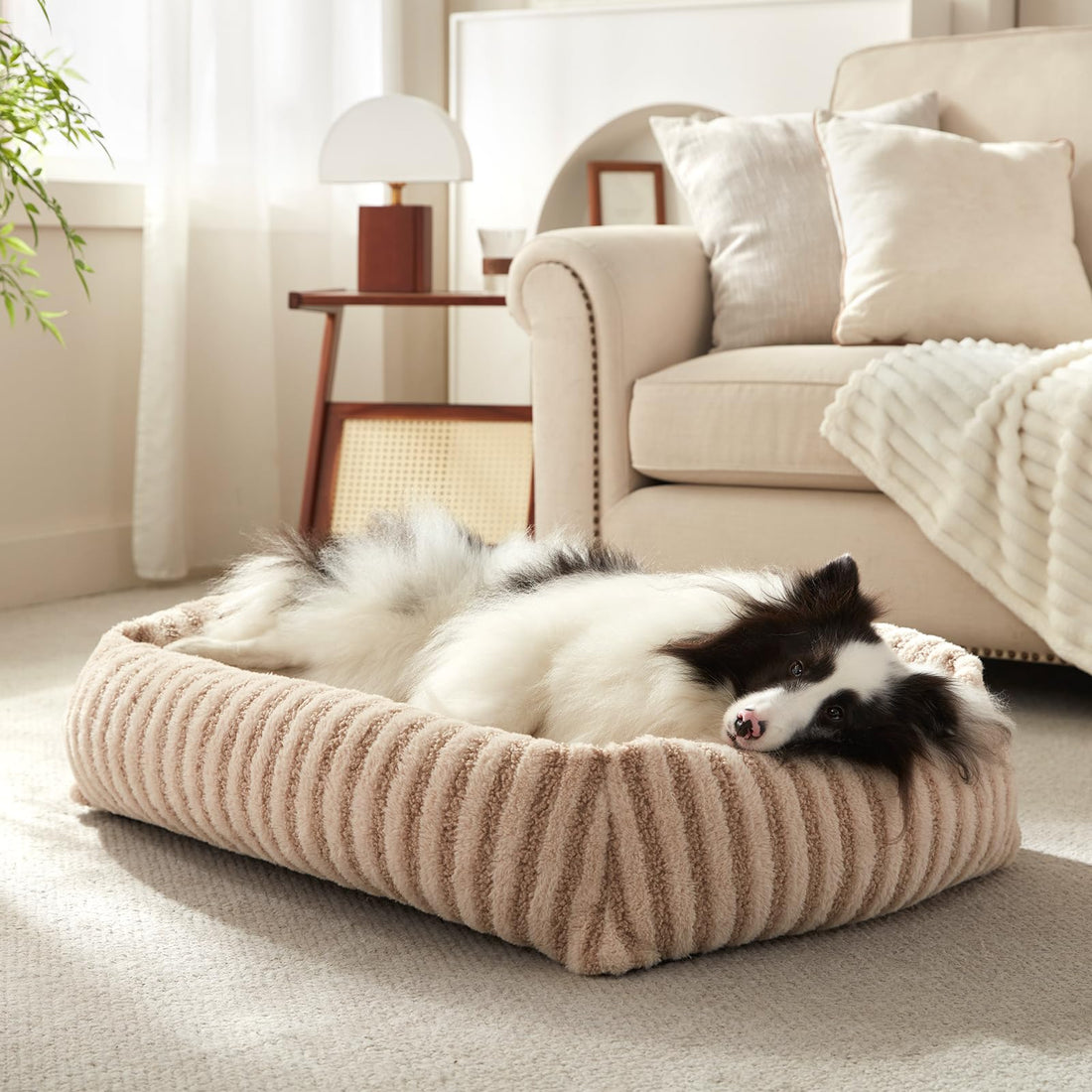MIXJOY Dog Bed Medium Size Dog