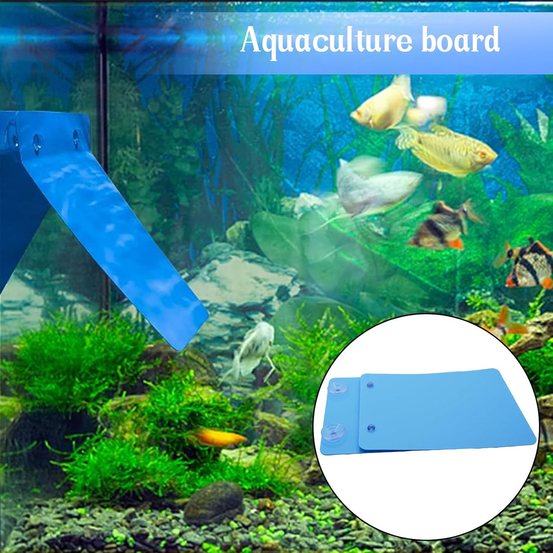 Saim 2 Pack Fish Breeding Slate 6.8in, Suction Cup Spawning Plate