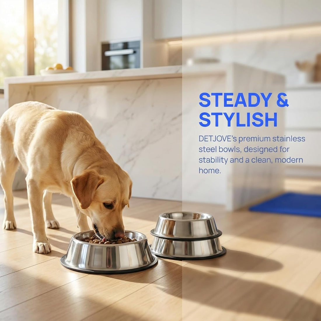 No-tip Stainless Steel Dog Bowls, 54oz, 2-Pack