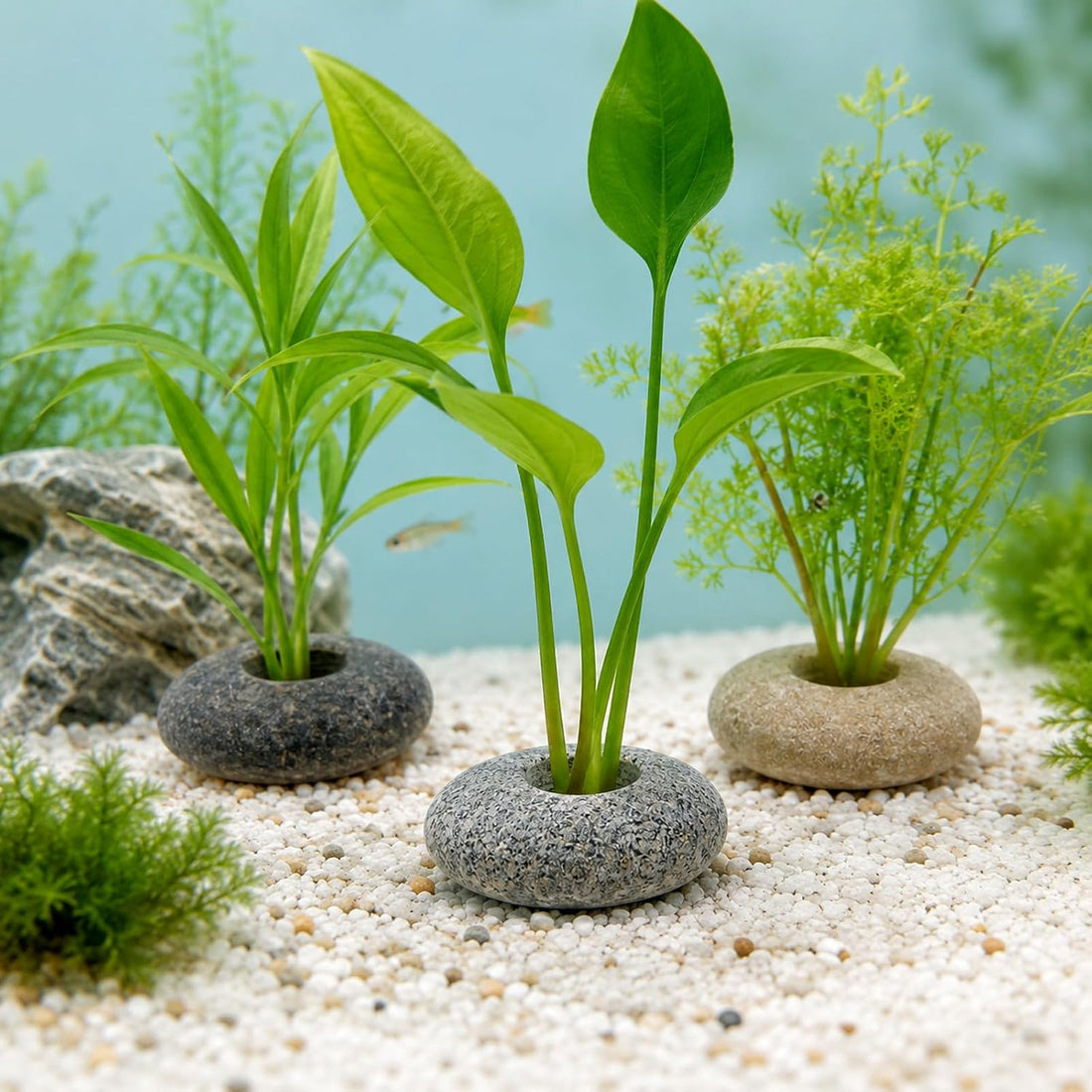 6 PCS Natural River Stone Plant Weights for Aquarium