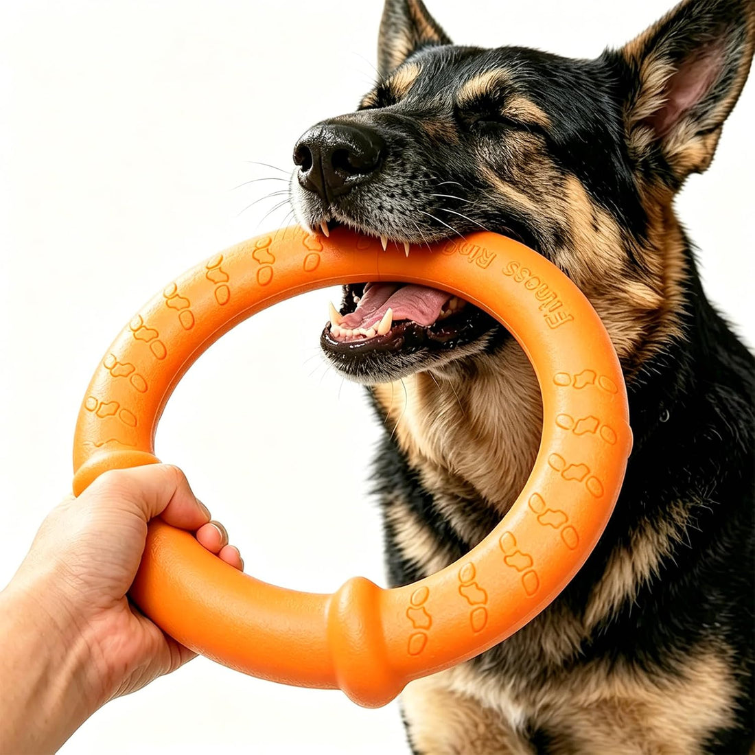 LaRoo Dog Ring Toy, Durable Soft Flying Disc for Throwing Catching