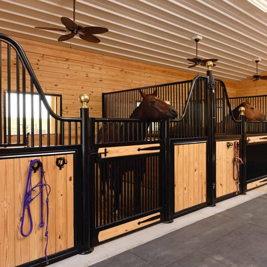 6 Counts Horse Bridle Rack Bracket Hooks Metal Halter Hanger