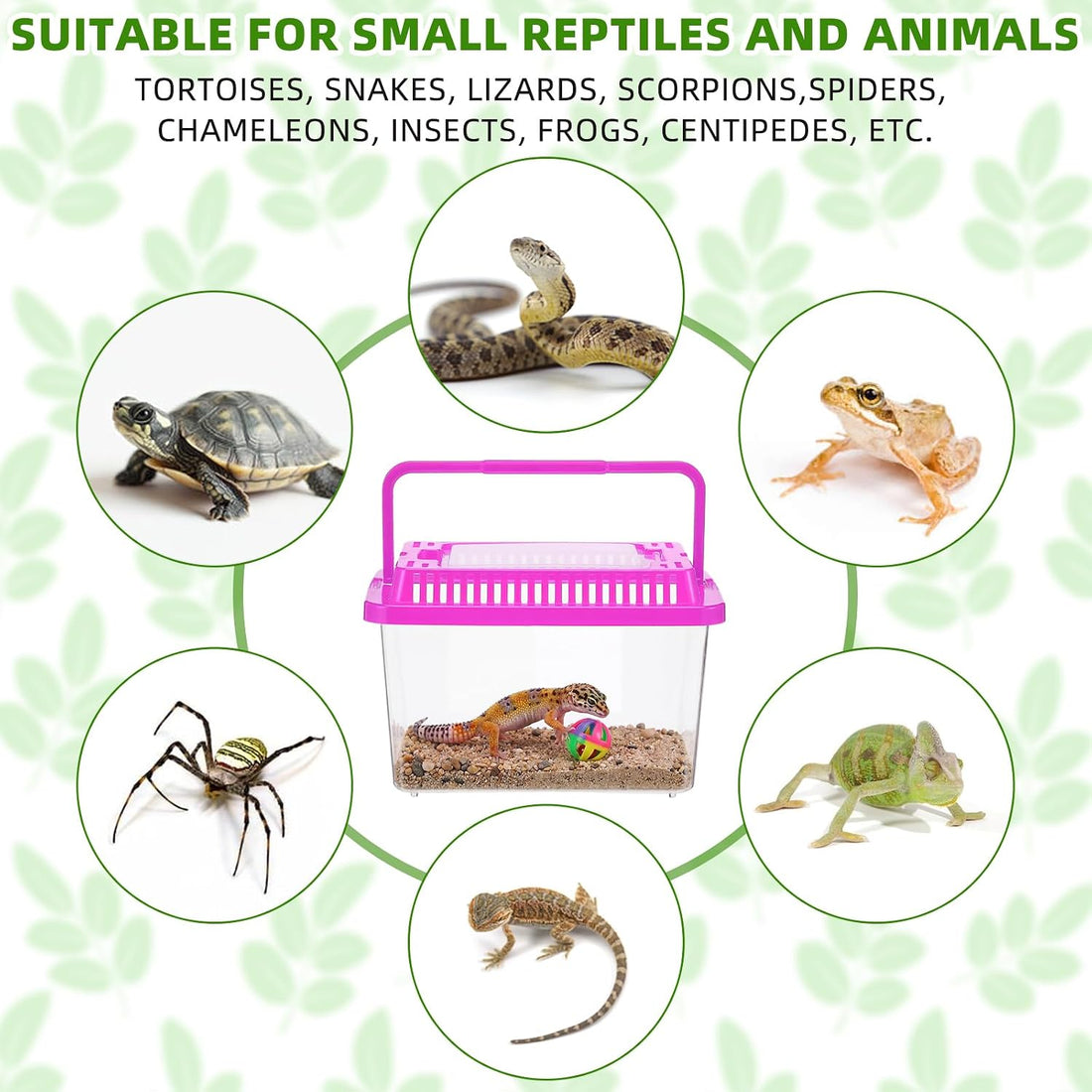 LemonRoad 15 Pcs Plastic Reptile Terrarium Carrier Cage