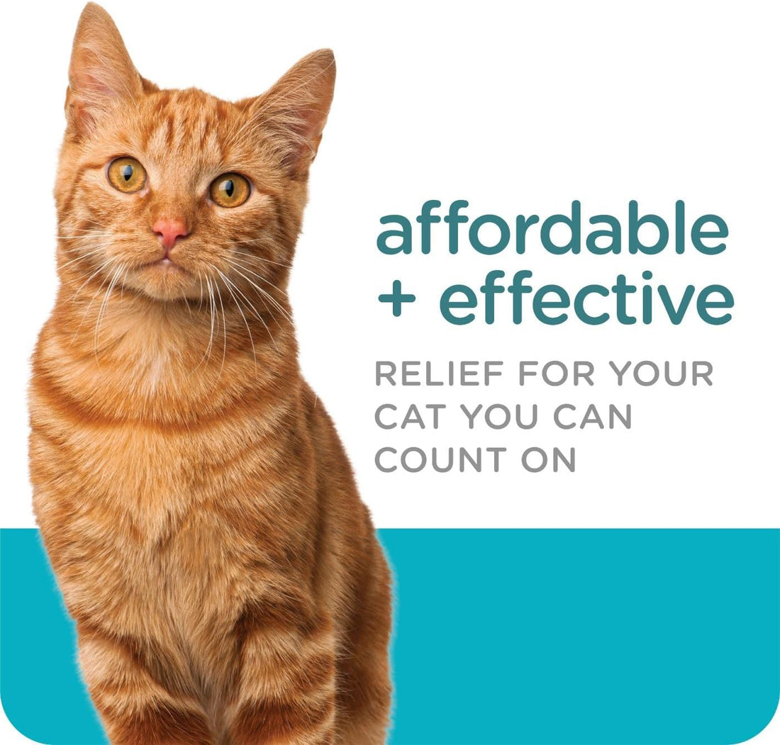 Sergeant's Guardian Flea & Tick Topical Cats 6 lbs+, 3-Month