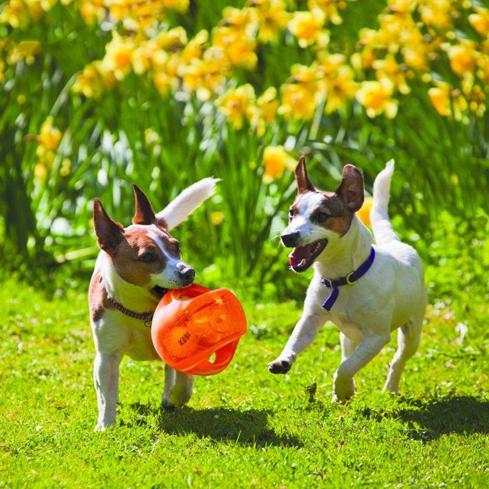 KONG Jumbler Ball - Interactive Toy for Dog & Puppy Playtime