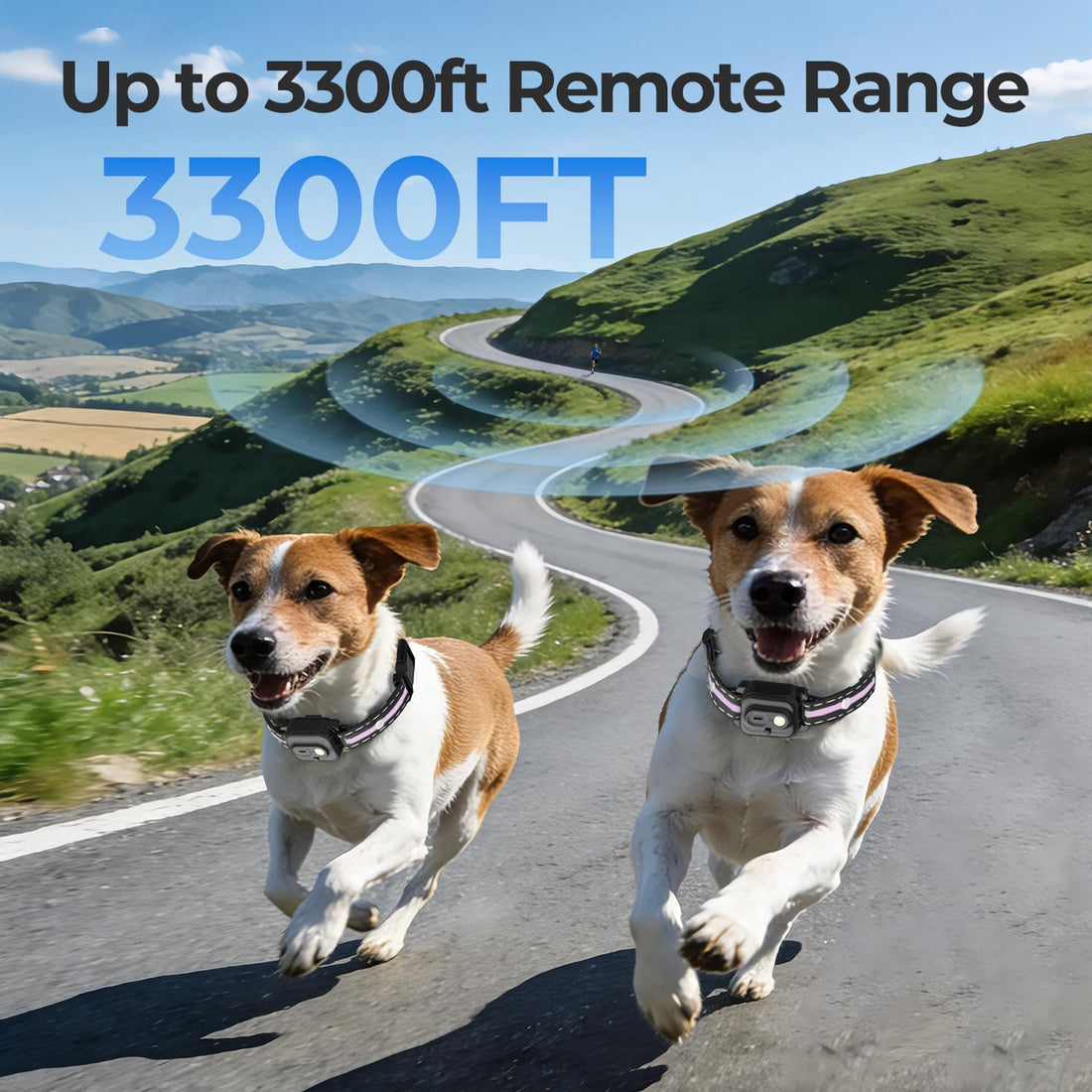RPZ Dog Shock Collar with Remote, 3300FT Dog Training Collar