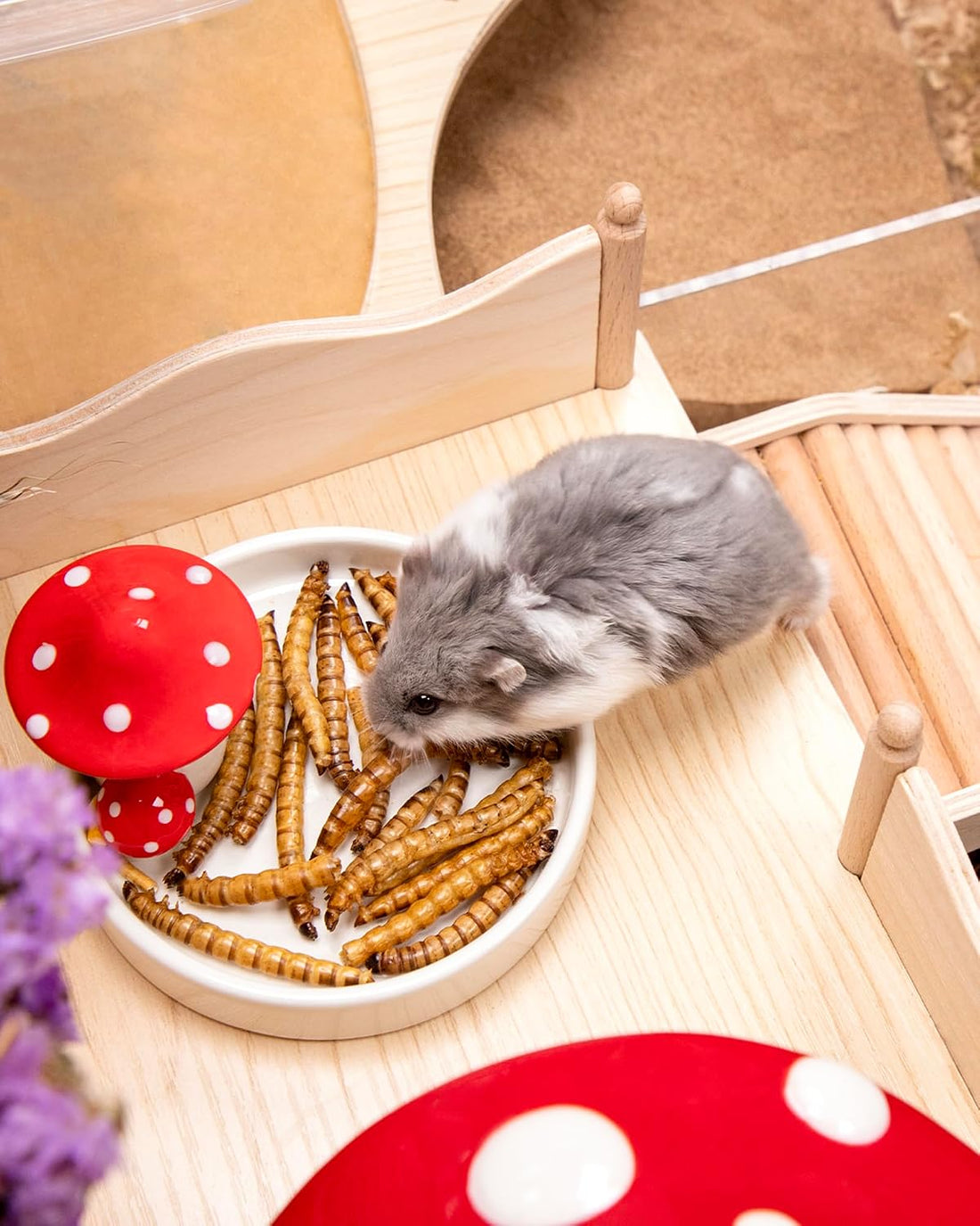 Niteangel Small Animal Snack & Treats - Dried Worms & No Additive