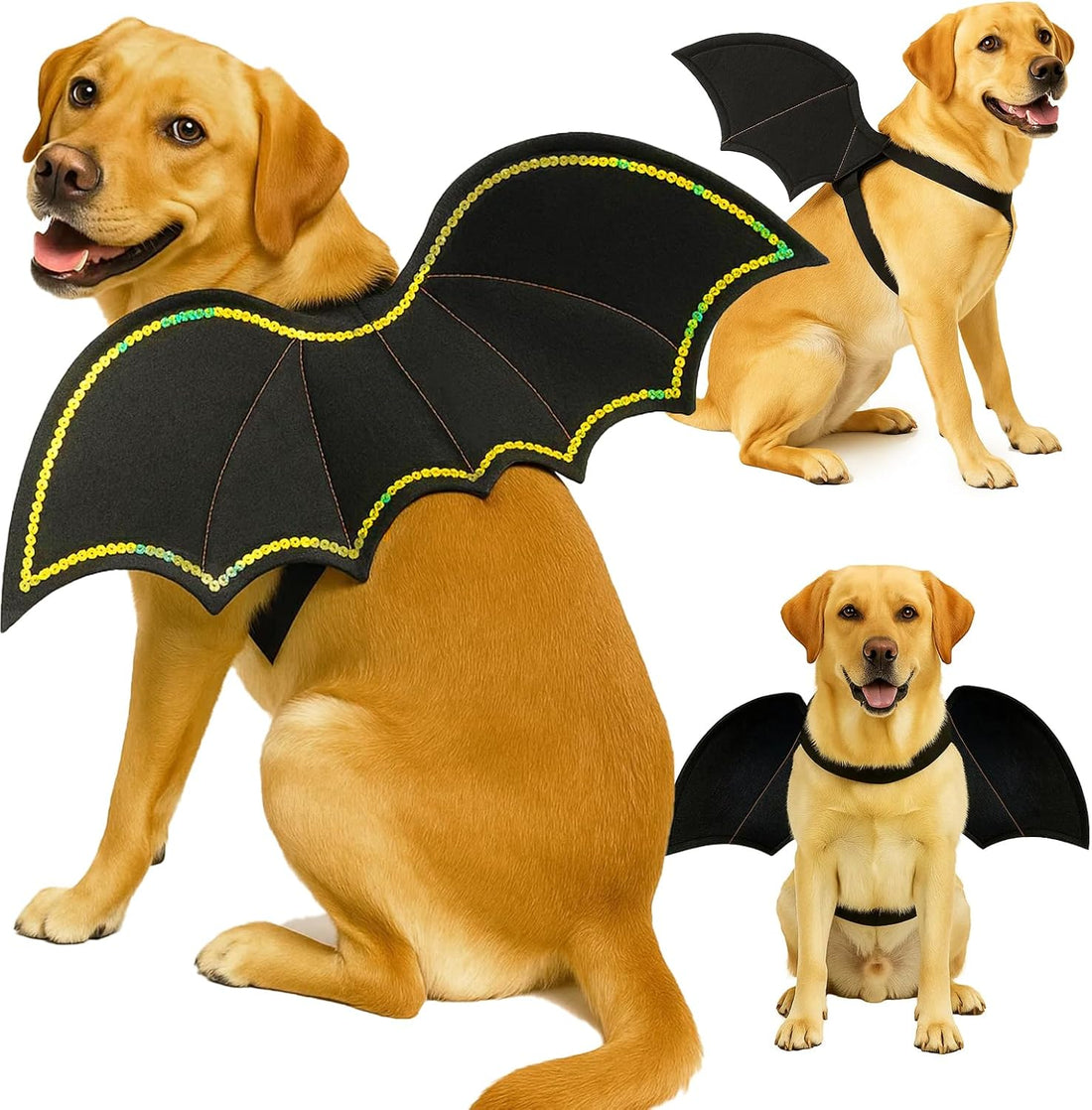 Halloween Cat Bat Wings with Mask Costume