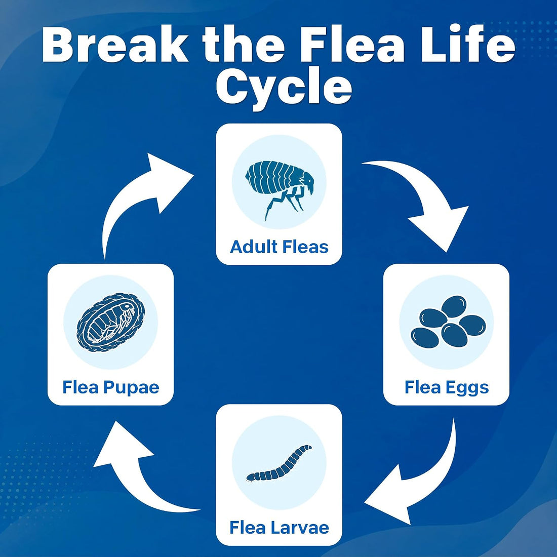 Topical Flea and Tick Care for Dogs