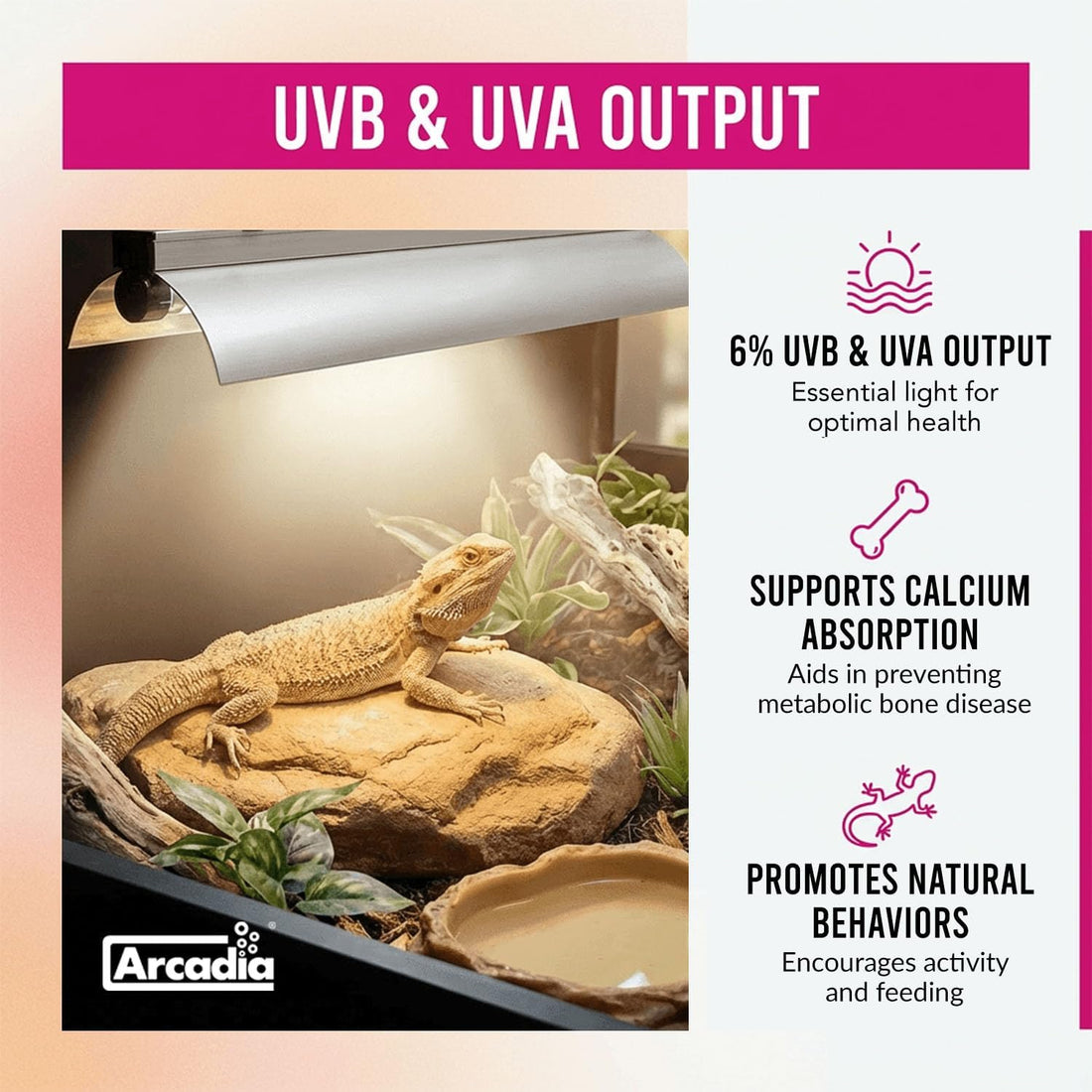 Arcadia Pro T5 UVB Lighting Kit - 39W - Dragon