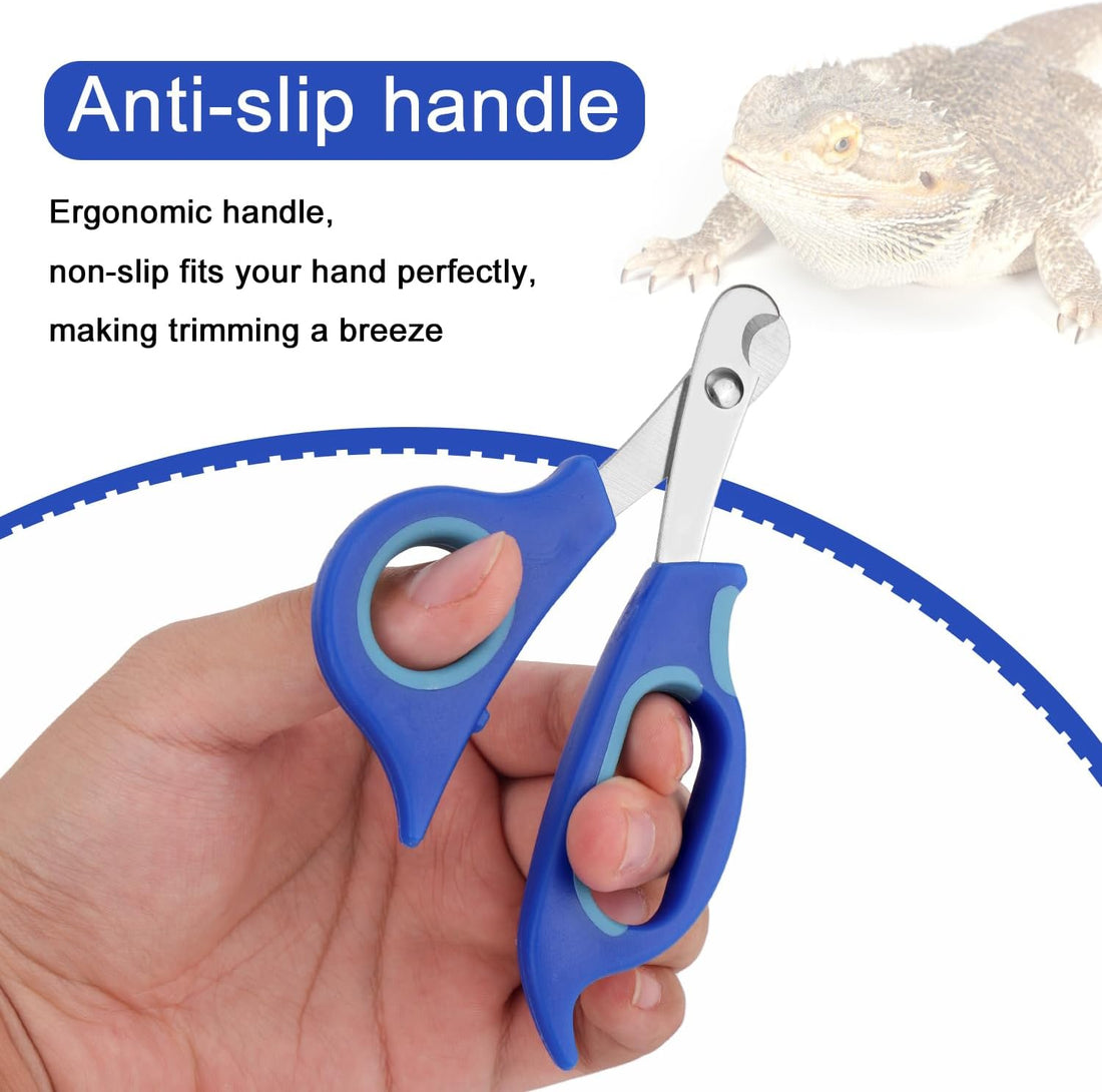 Bearded Dragon Nail Clippers and File