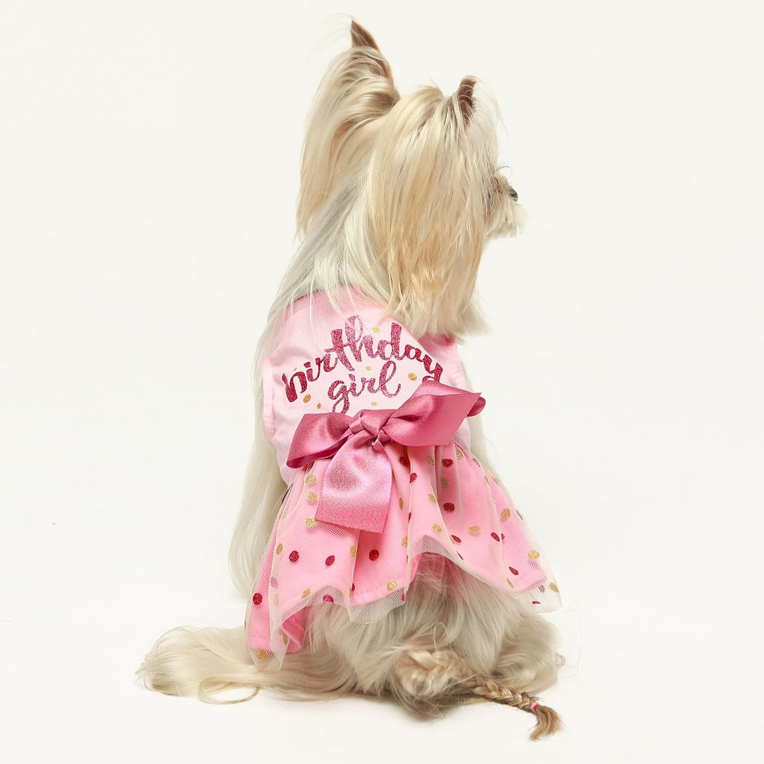 Fitwarm Birthday Girl Dog Tulle Dress, Dog Clothes for Small Dogs Girl