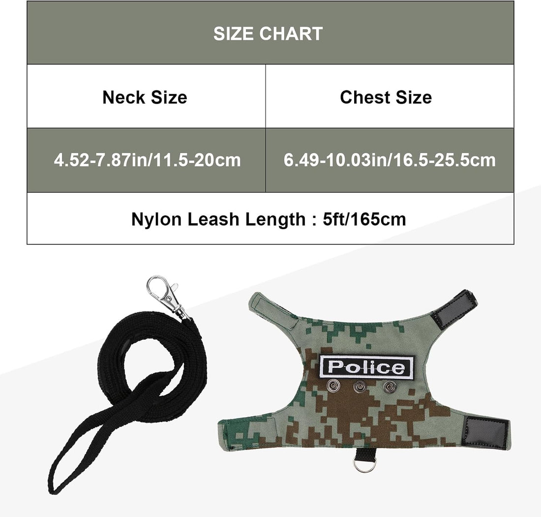 Hypeety Bearded Dragon Harness and Leash Set for Outdoor Walking