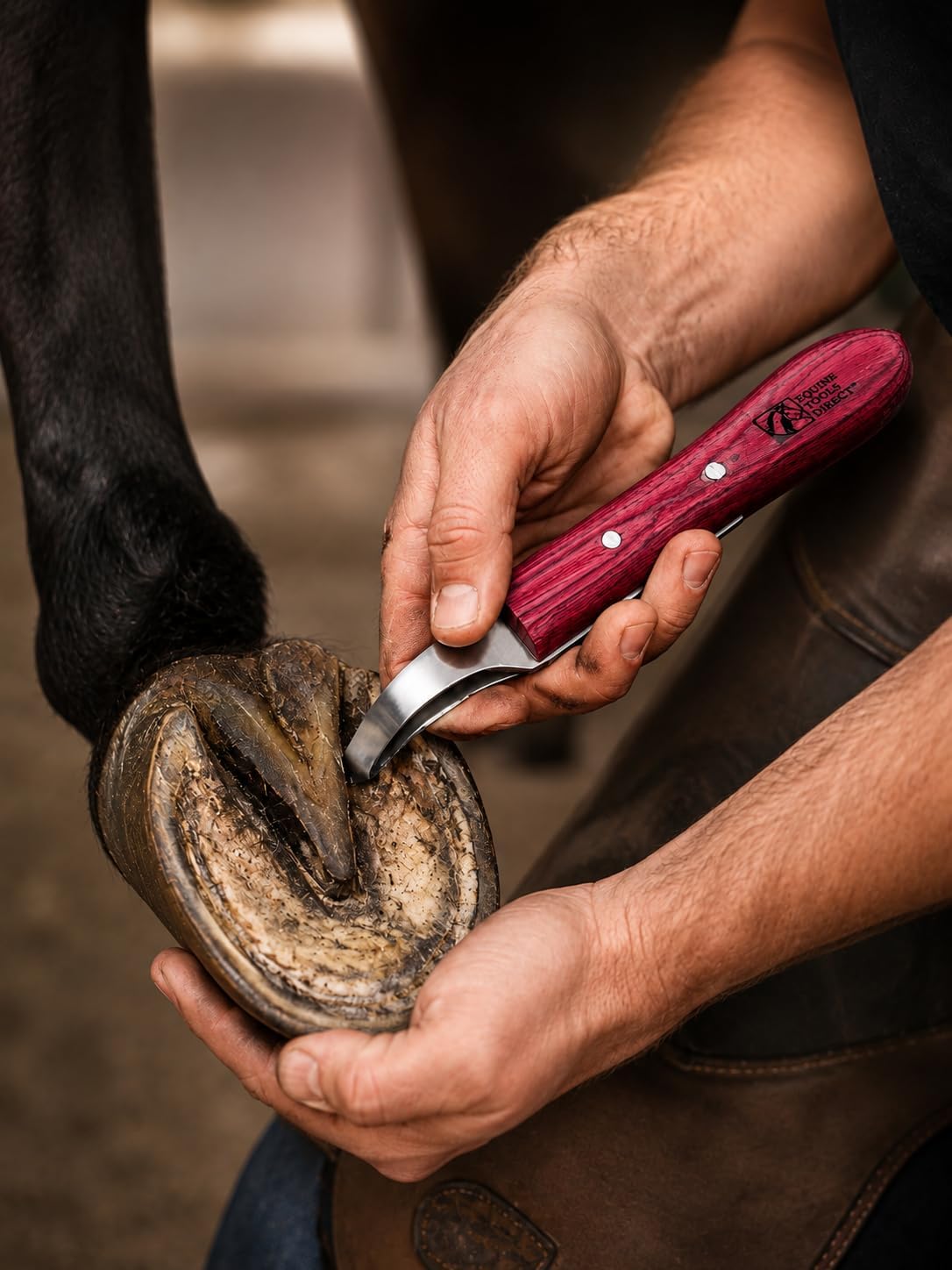 Farrier Loop Hoof Knife, Right-Hand