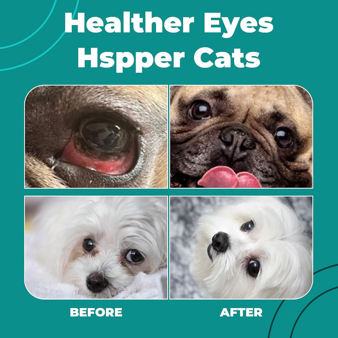 Dog Eye Infection & Eye Care Support Supplements