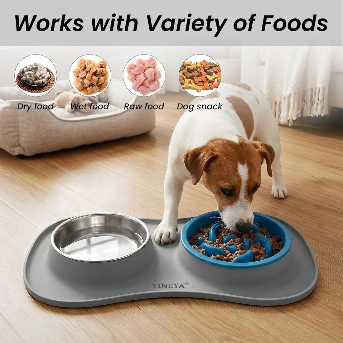 YINEYA 3 in 1 Slow Feeder Dog Bowls & Stainless Steel Food and Water