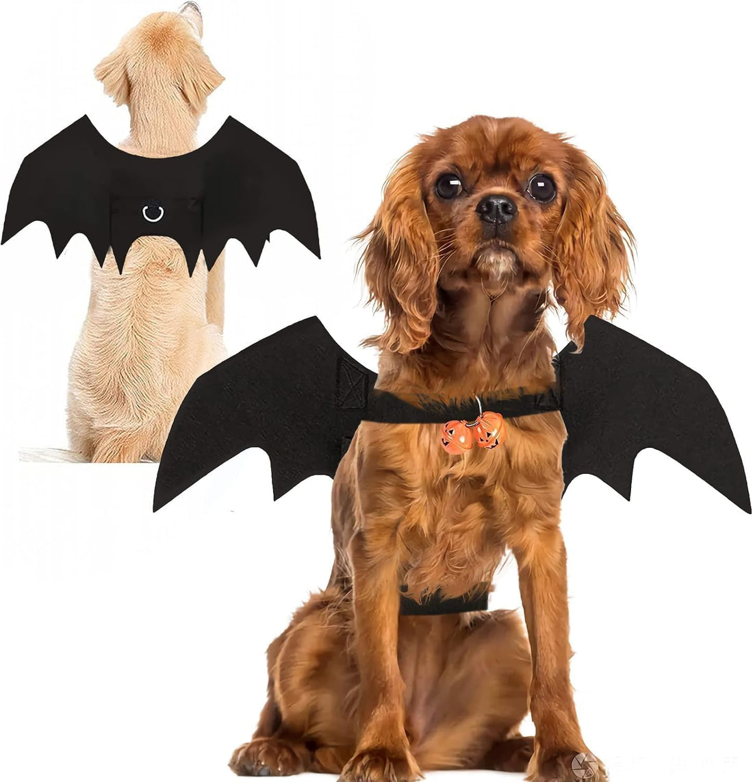 Halloween Dog Bat Wings Pet Costume with Pumpkin Bells for Halloween