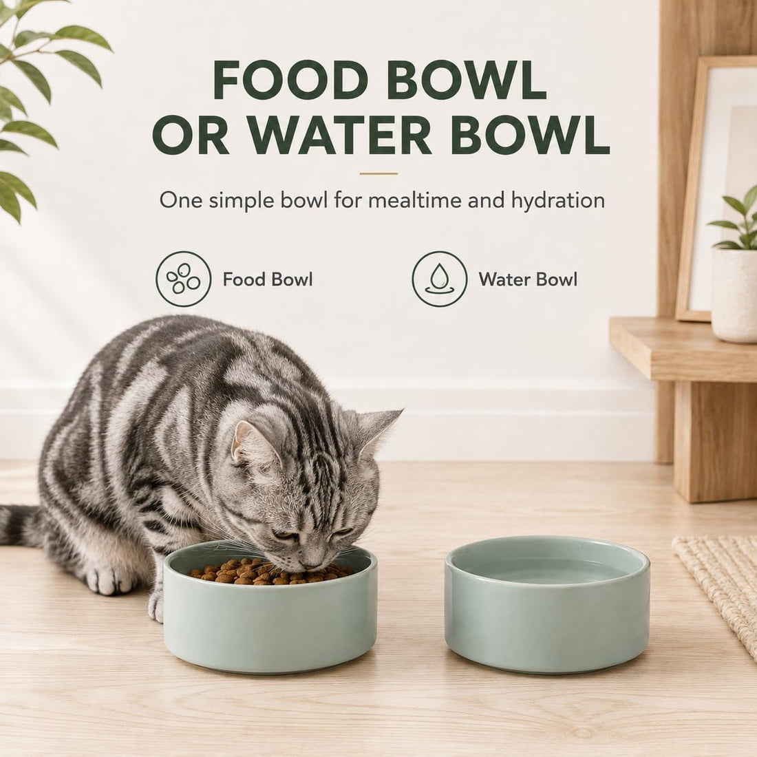 Havniva Cat Bowls Water Bowl Set of Two