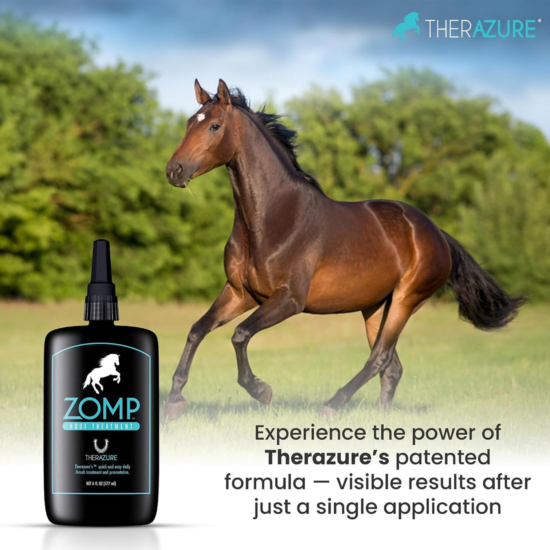 Zomp Liquid Hoof Thrush and White Line Treatment for Horses