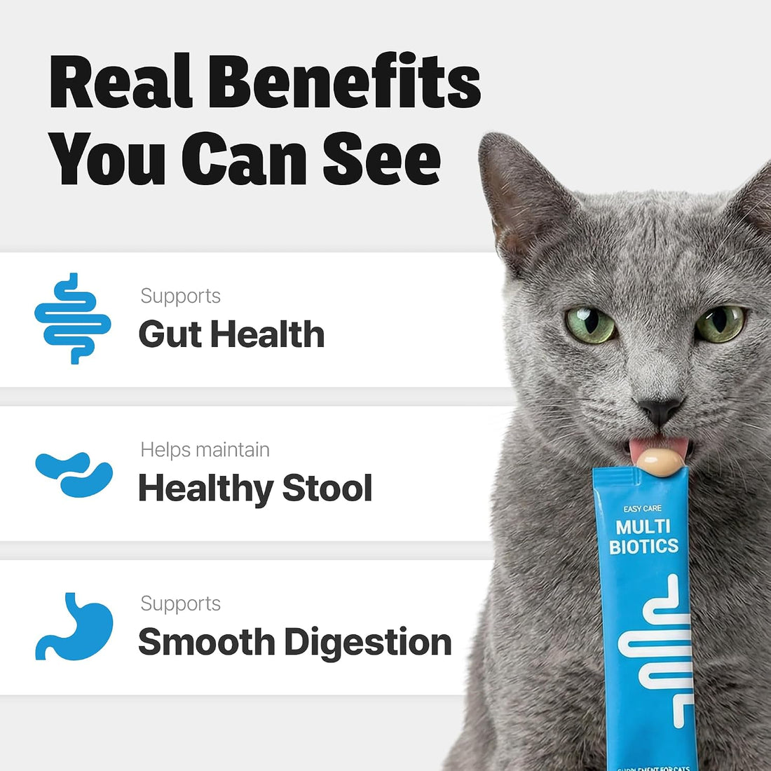 Cat Probiotics – Lickable Digestive Health Supplement
