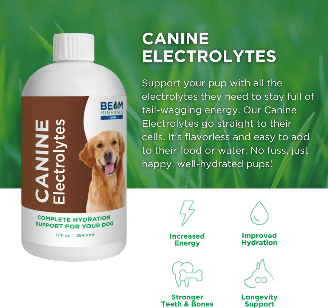 BEAM Minerals Advanced Canine Mineral and Electrolyte Replenishment