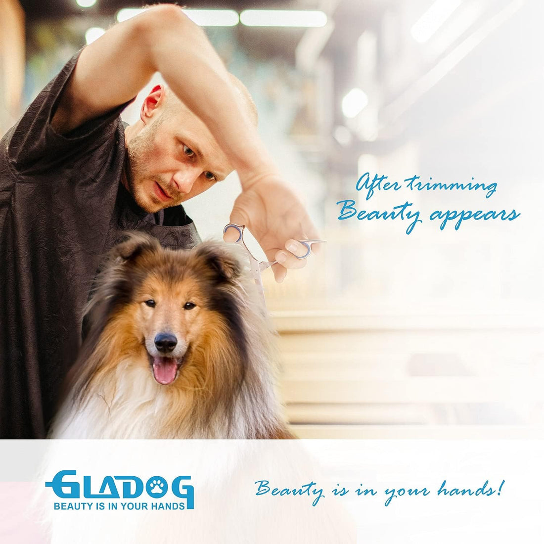 GLADOG Professional 5 in 1 Dog Grooming Scissors Set with Safety