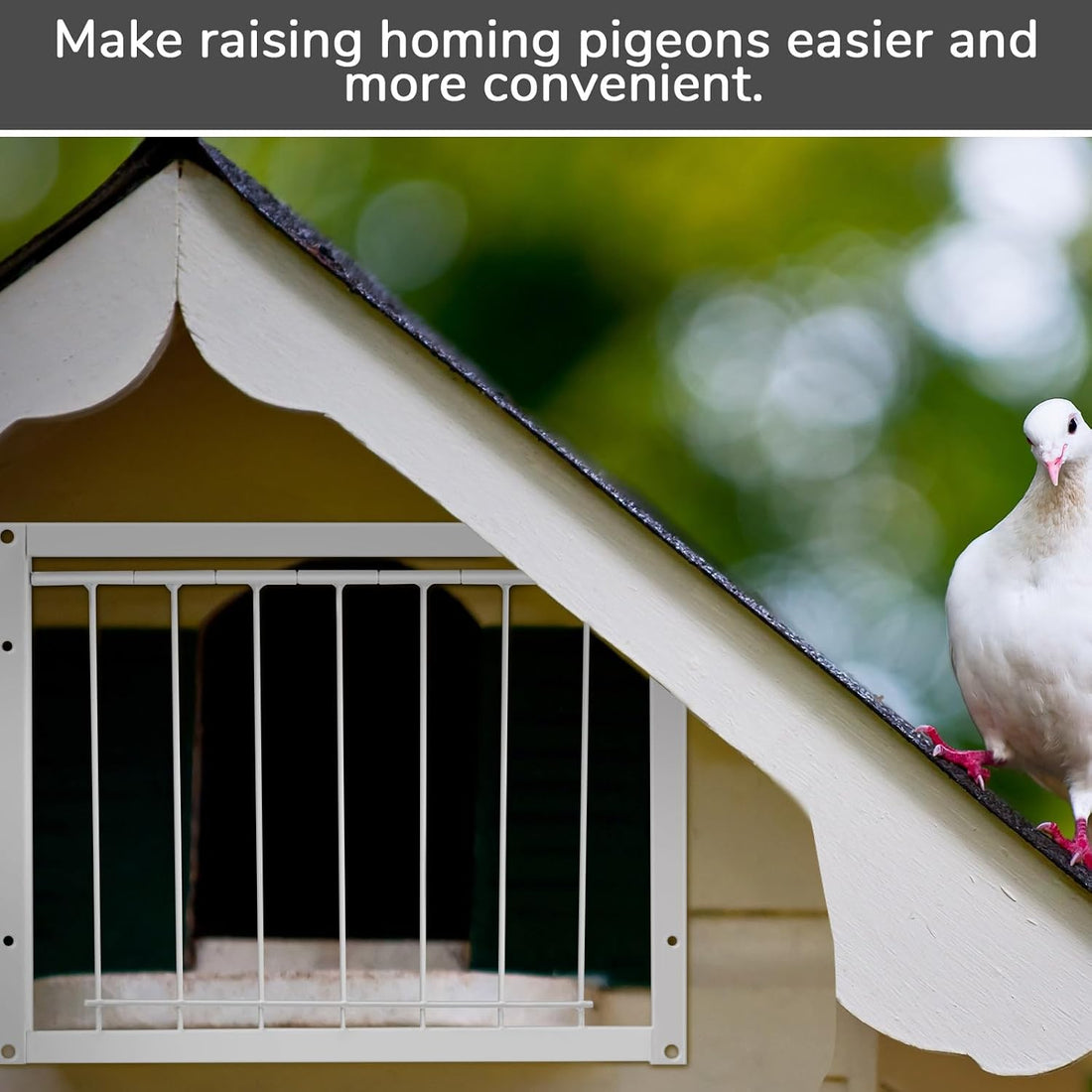 Suzile 2 Pcs 11.81" x 10.24" Pigeon Cage Door Bird Wire One Way