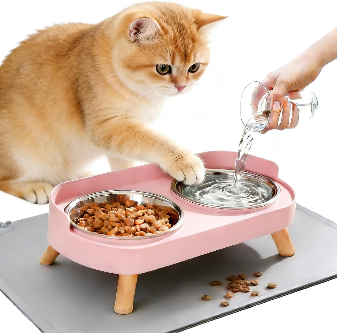 Elevated Cat Bowls, Raised Cats Food and Water Bowl Set for Indoor