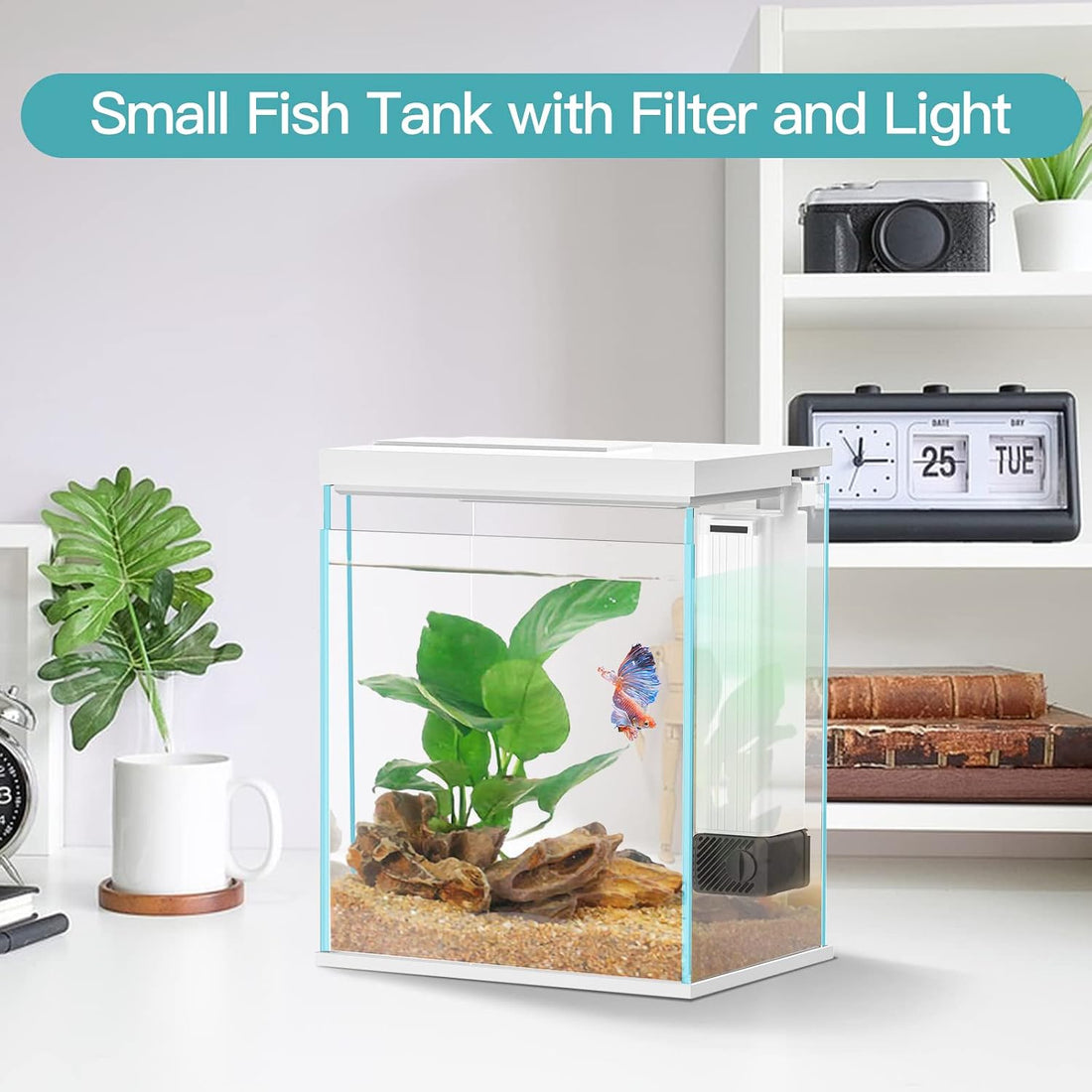 Pronetcus Betta Fish Tank, 2 Gallon Glass Aquarium Starter Kit