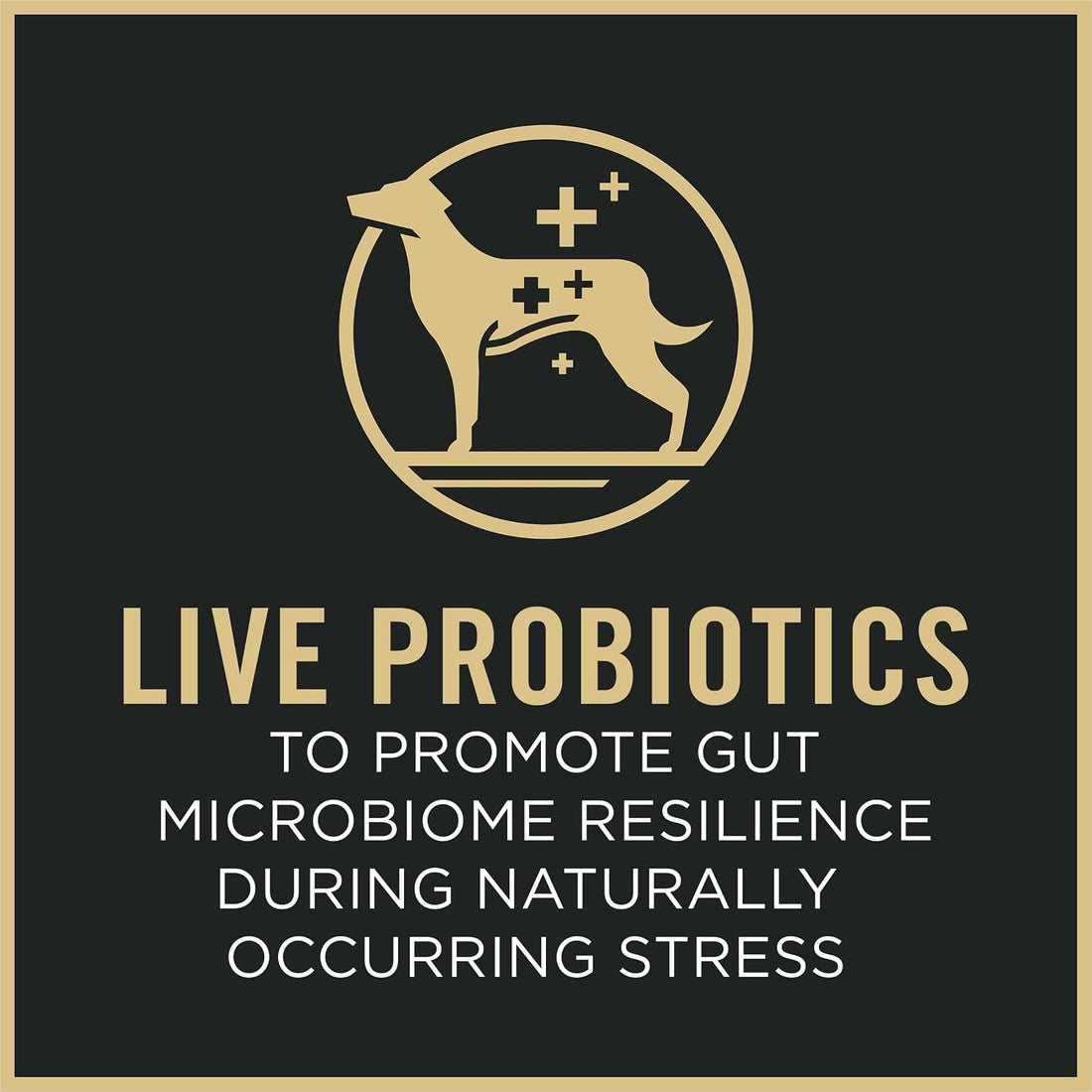 Purina Pro Plan Small Breed Dog Food With Probiotics for Dogs