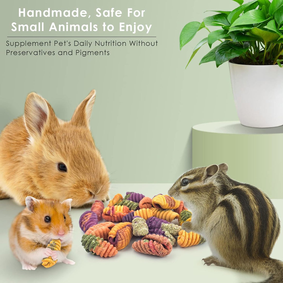 ERKOON Chinchilla Treats, Chew Toys for Teeth for Rabbit Guinea Pig