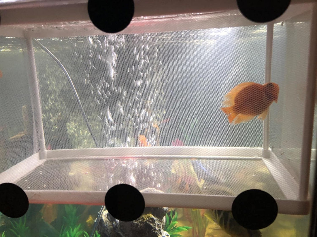 Large Breeder Net for Fish Tank Fish Hatchery Separation Net Mesh