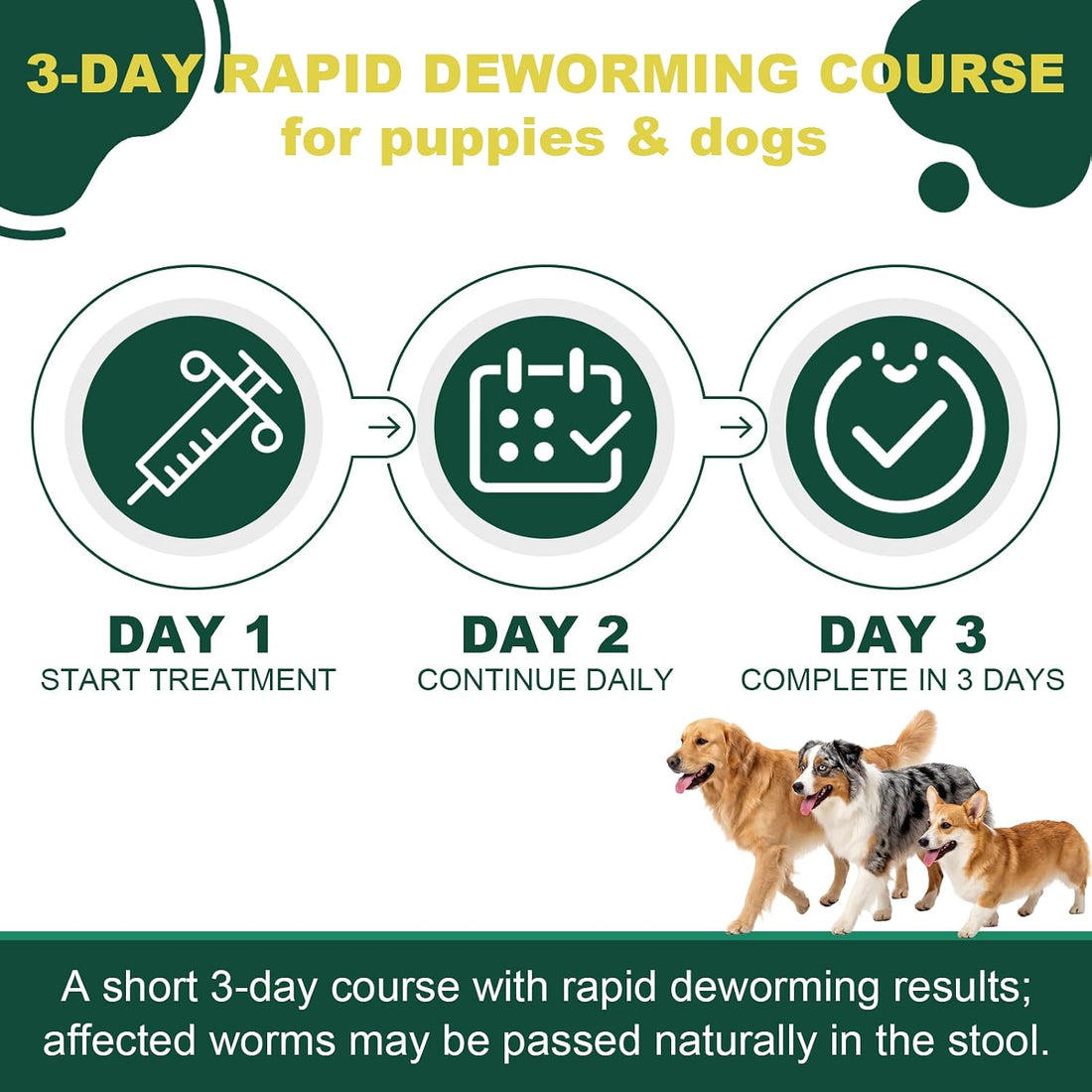 Canine Dewormer, Fenbendazole Dewormer for Dogs