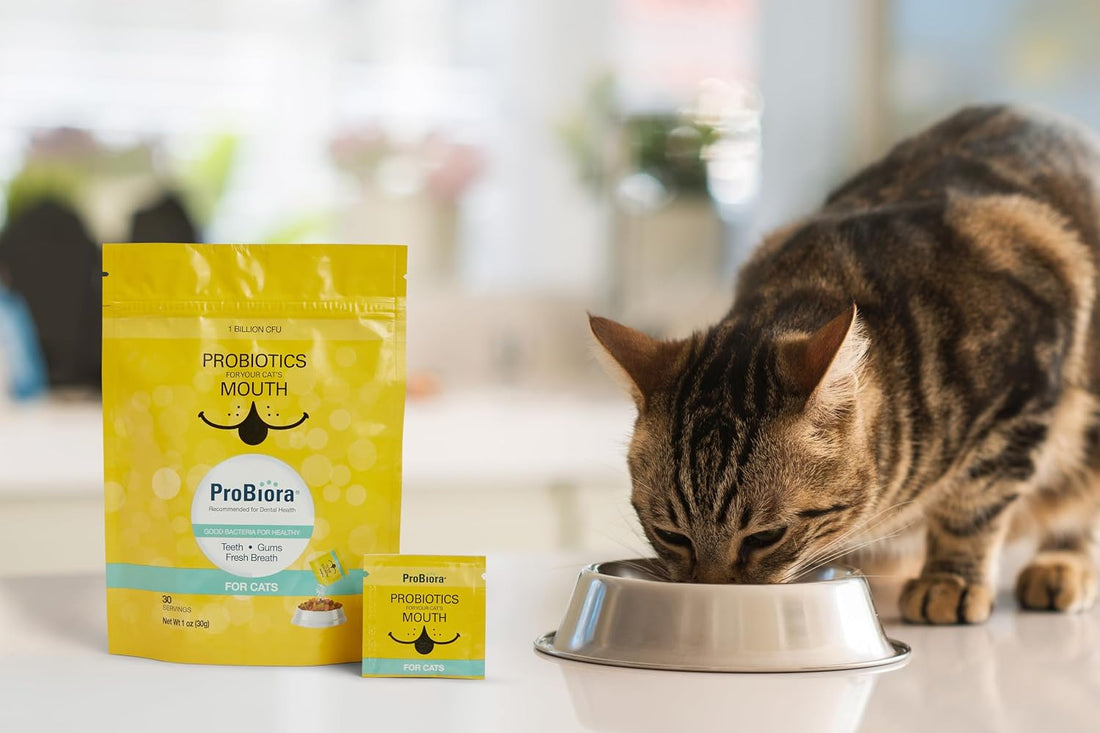 Probiora for Cats | Oral Care Probiotic Supplement