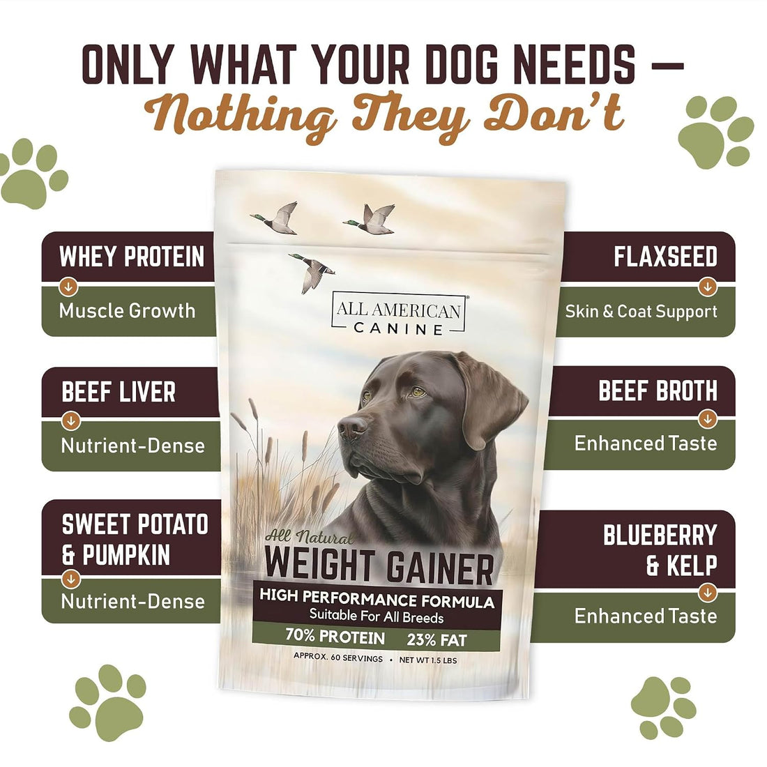 All American Canine Dog Weight Gainer