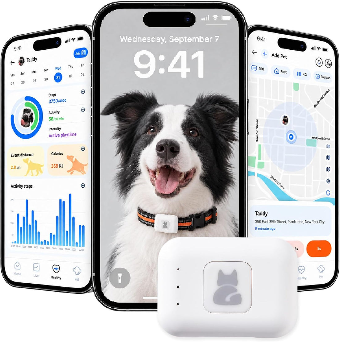 Dog Tracker GPS, Real Time Tracking & Virtual Fence 1-Year Service