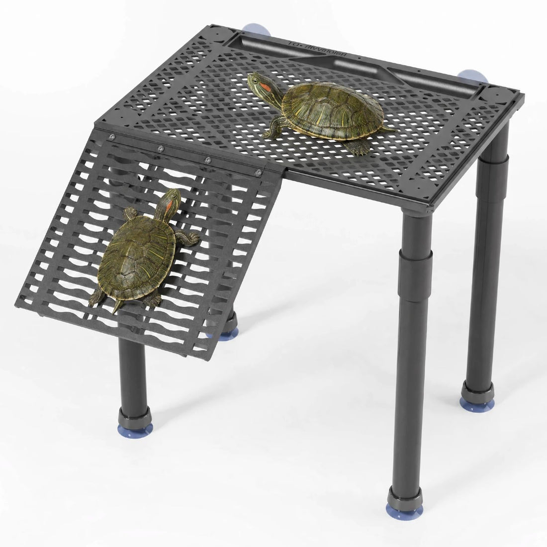 Upgraded Standing Turtle Basking Platform with Ramp