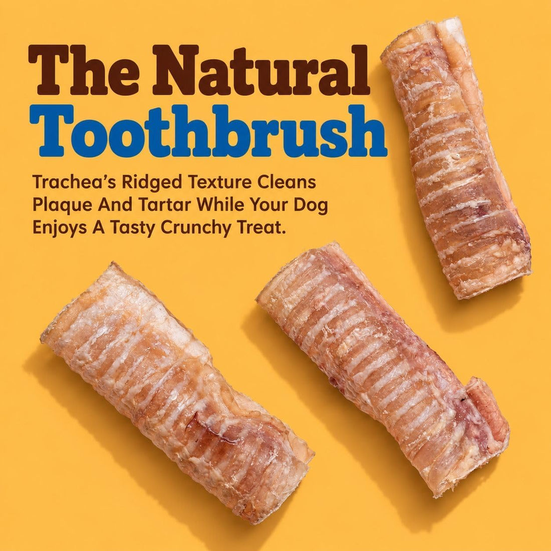 Beef Trachea For Dogs, Trachea Dog Chews