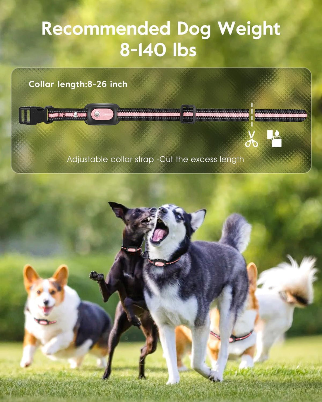 SLOPEHILL Dog Shock Collar,4200FT Dog Training Collar with Remote