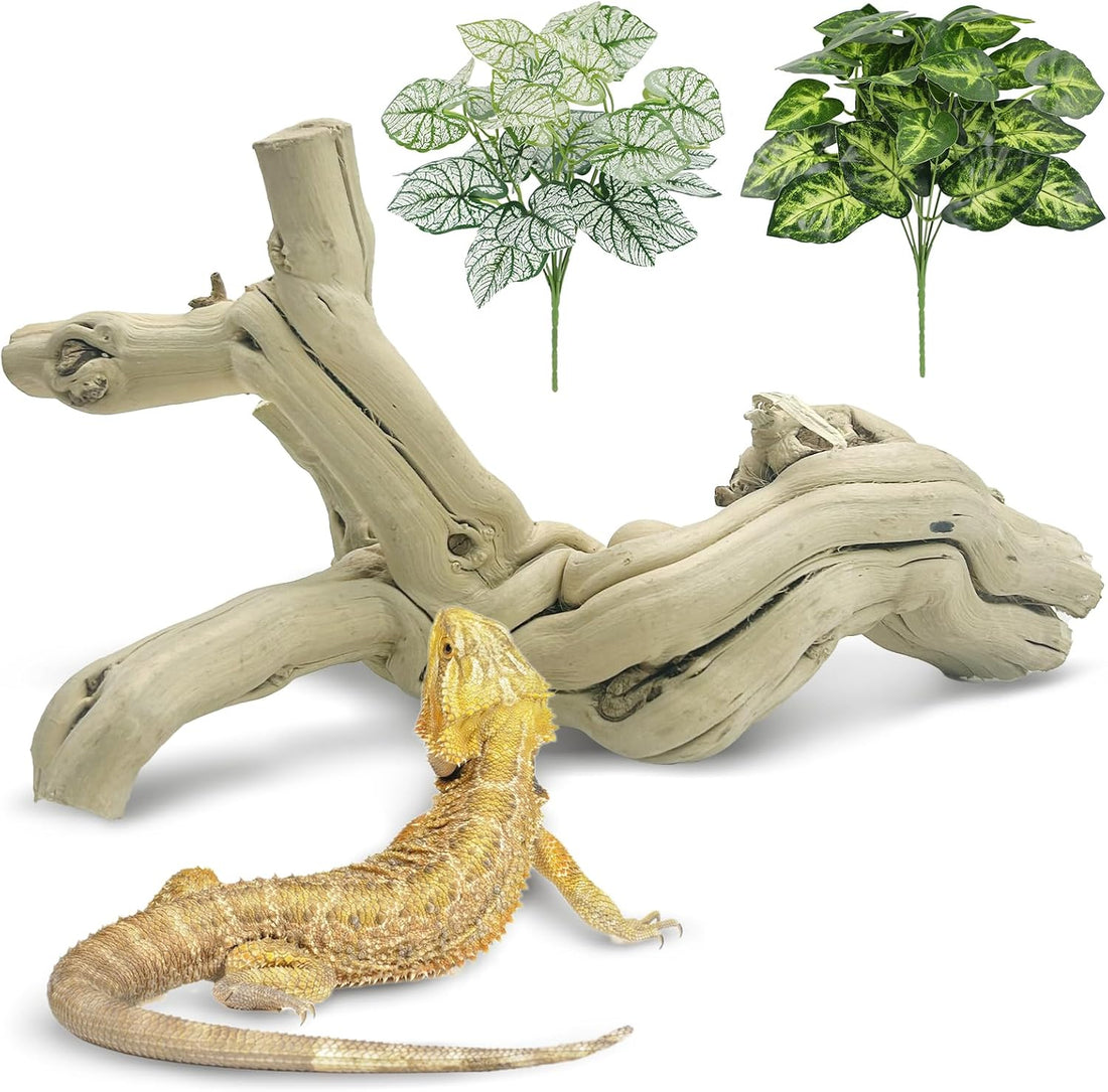 Snake Climbing Branch Wood Enclosure Decor Terrarium Logs