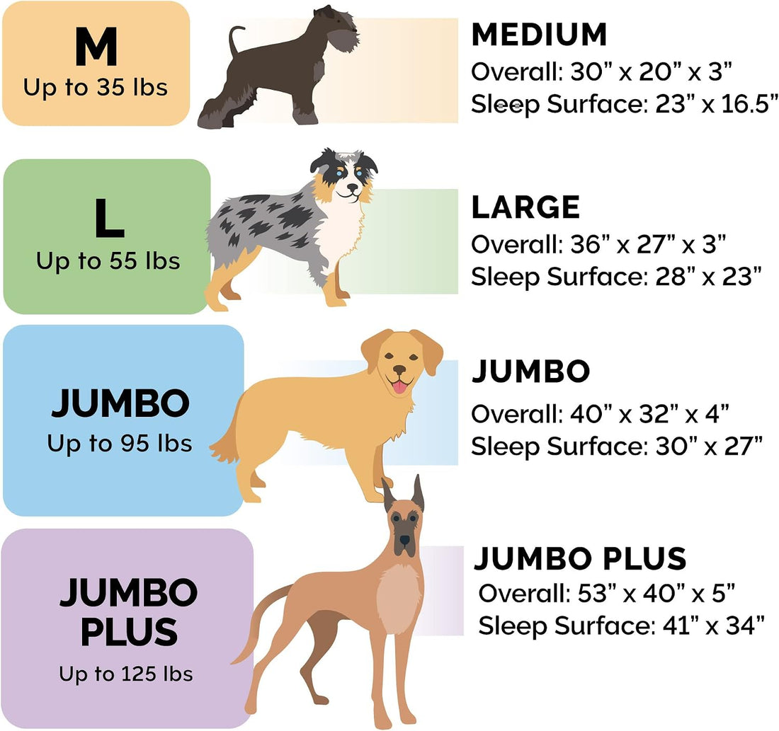 FurHaven Dreamer Sofa Orthopedic Dog Bed for Large Dogs