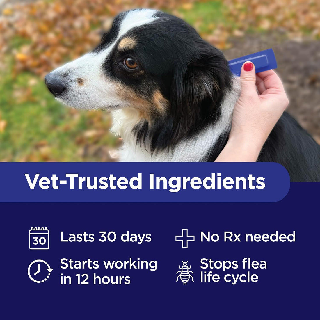 TevraPet Activate II Flea and Tick Prevention for Dogs