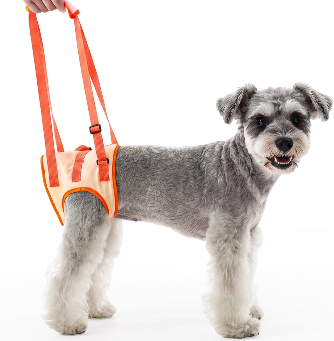 Allroaring Dog Lift Harness with Soft Pads, Orange, S