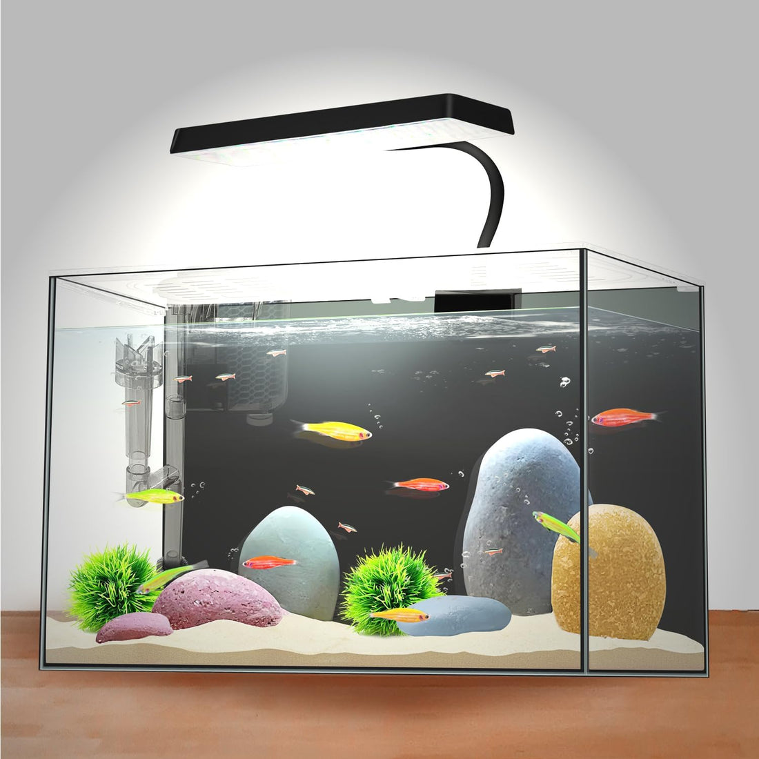 3 Gallon 12.6โ L Fish Nano Glass Aquarium