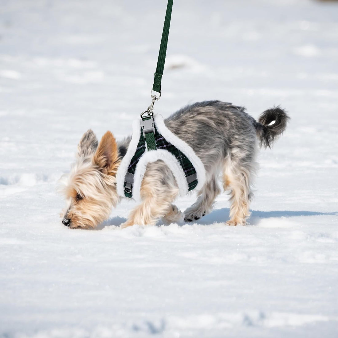 AIITLE Christmas Plush Small Dog Harness and Leash Set for Winter