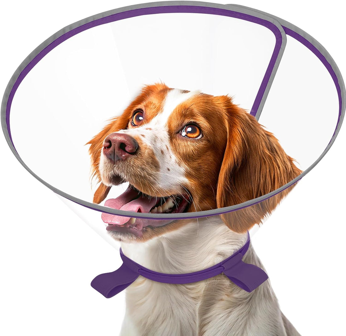 Clear Dog Cone for Small Dogs Chihuahua, E-Collar After Surgery