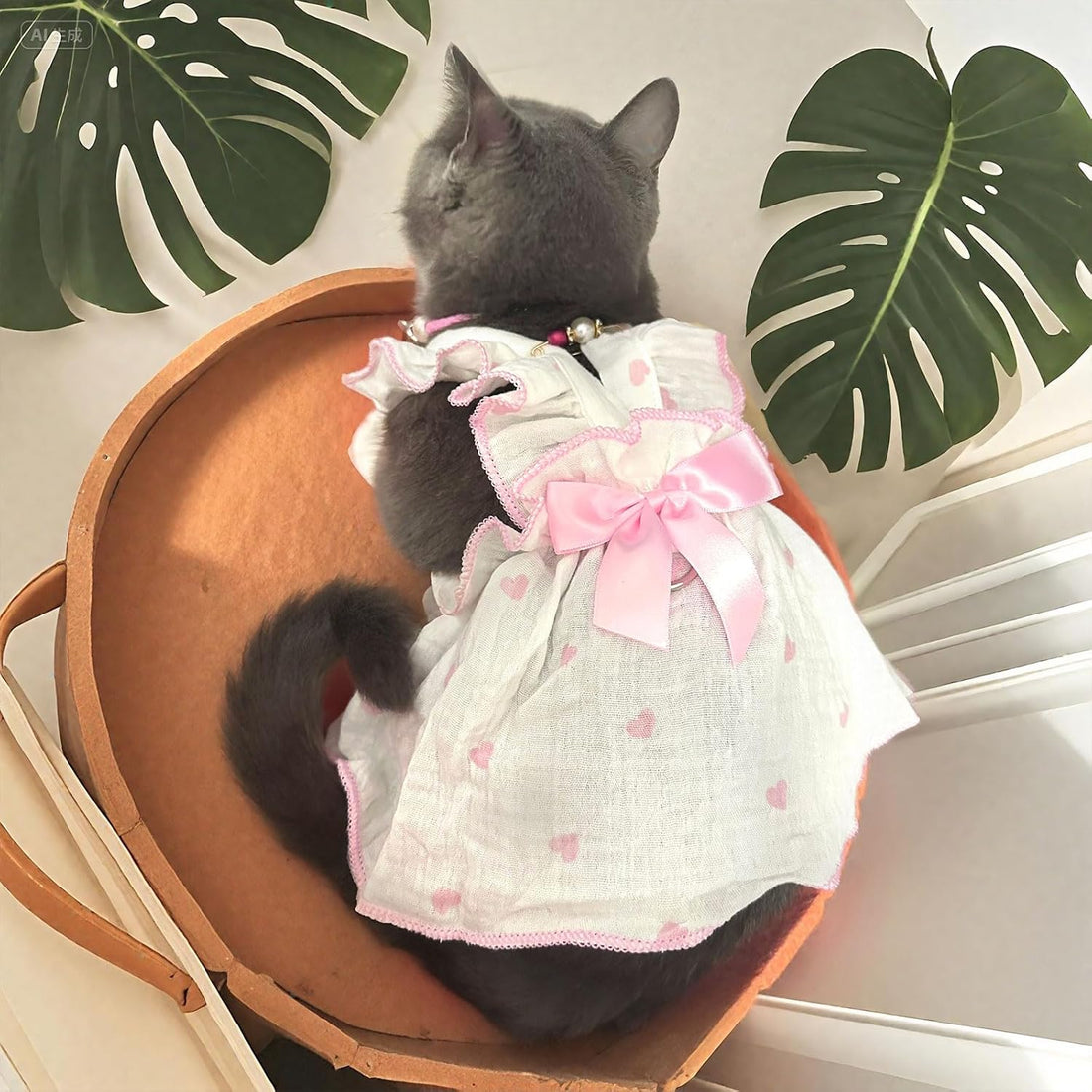 Dog Dresses for Small Dogs Girl Female Dog Cat Clothes Dress Cute